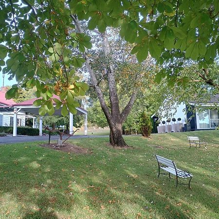 Moore Park Inn 아미데일 외부 사진