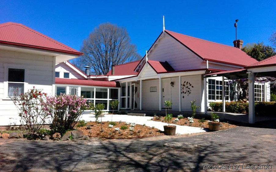 Moore Park Inn 아미데일 외부 사진